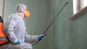 Why You Should Choose Our Mold Remediation Services in East Stroudsburg, PA