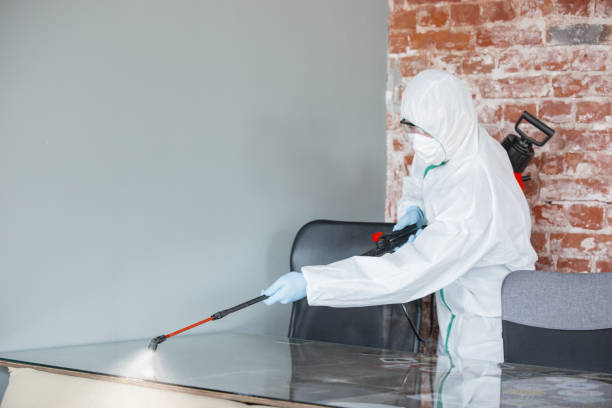 Best Mold Remediation for Healthcare Facilities  in East Stroudsburg, PA