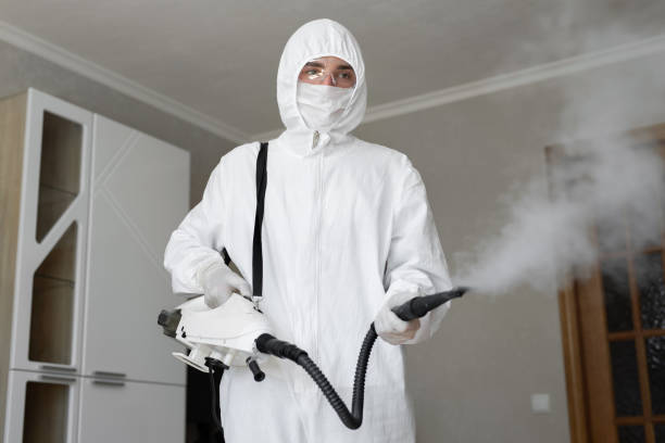 Biohazard Mold Removal in East Stroudsburg, PA